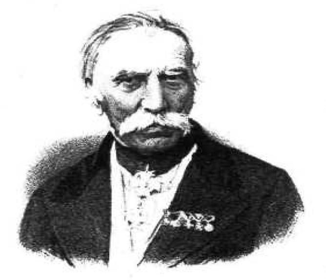 Ιωάννης Παπαρρηγόπουλος, Αγωνιστής του 1821 και Σύμβουλος της Επικρατείας